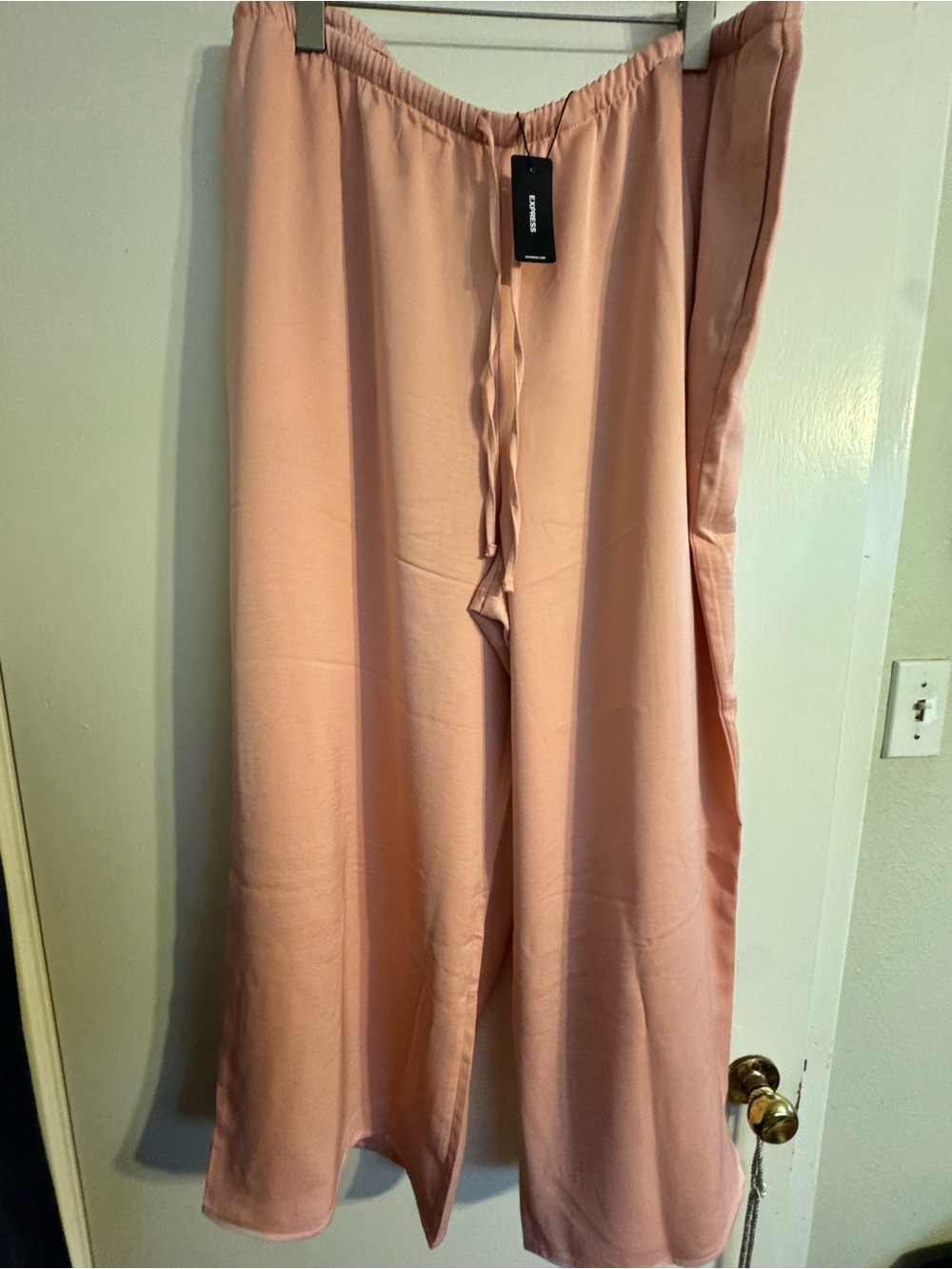 Express Wide Leg Drawstring Pants in Blush Pink NWT